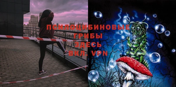 круглые Арсеньев