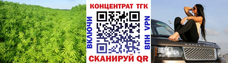 где можно купить наркотик  Славгород  Дистиллят ТГК вейп 