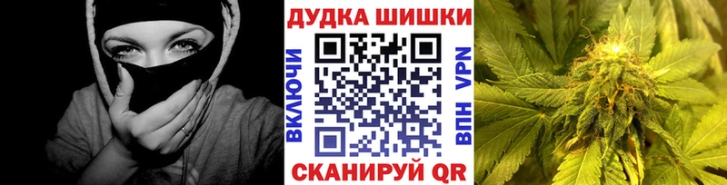 как найти   Славгород  МЕГА как войти  Бошки марихуана ГИДРОПОН 
